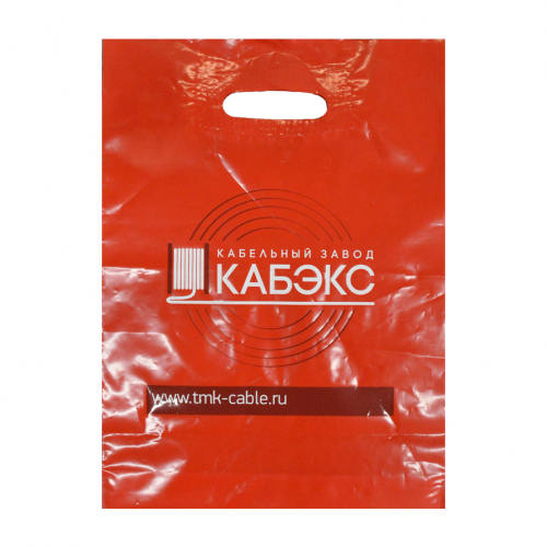 Пакет цветной, с печатью (2+0)