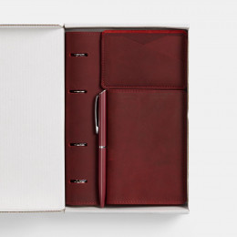 Набор inStream Maxi, красный