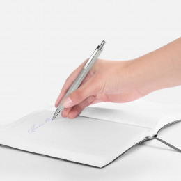 Ручка шариковая Alumno, серая