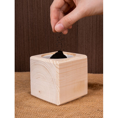 Набор для выращивания «Экокуб», ель голубая