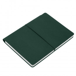 Ежедневник Flexpen Bright, недатированный, зеленый