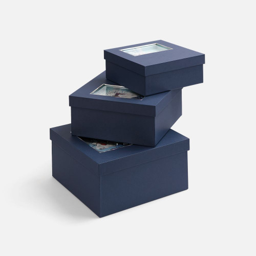 Коробка The Blue Bear, L