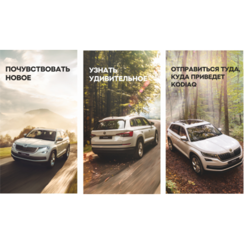 Флаги Шкода