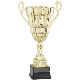 Кубок 3003A (50см) D-200