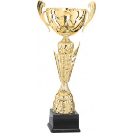 Кубок 4013B (43см) D-140